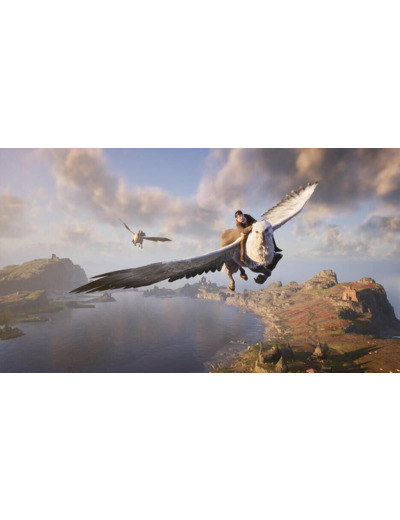 Hogwarts Legacy : L'heritage De Poudlard | Occasion