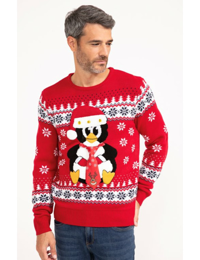 Pull Noël Pingouin