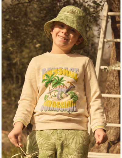 Sweat-shirt Jurassique