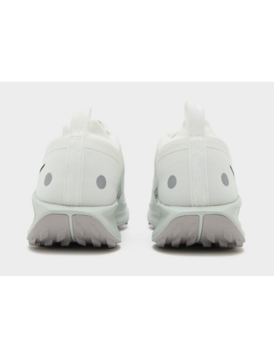 Nike Pegasus Trail 5 GORE-TEX Homme