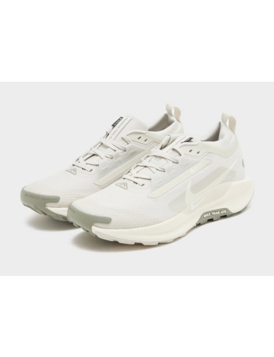 Nike Pegasus Trail 5 GORE-TEX Homme