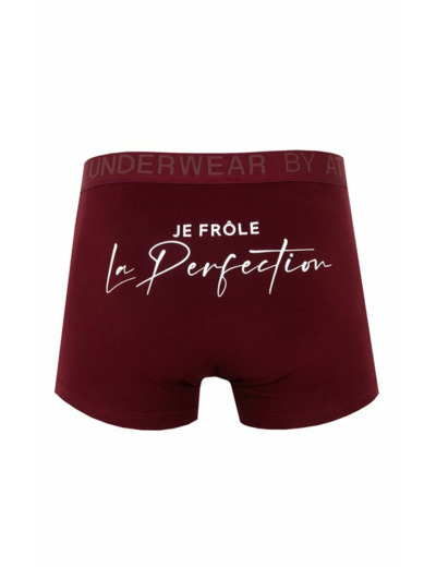 Boxer Perfection