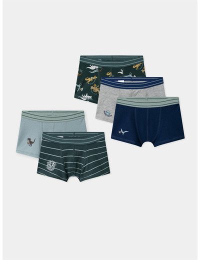 Lot de 3 boxers à rayures, imprimé ou uni Garçon