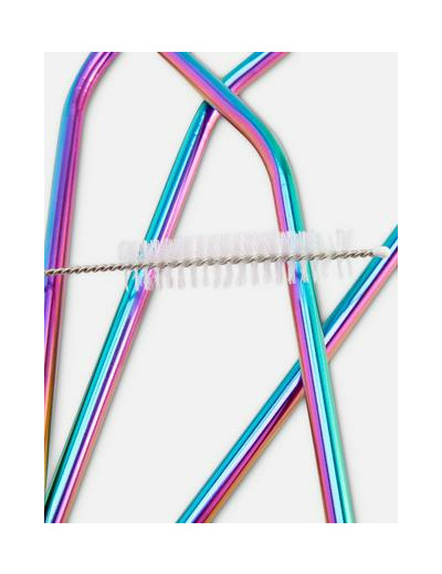 Lot de 4 pailles arc-en-ciel en acier inoxydable