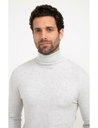 Pull Col Roulé Uni