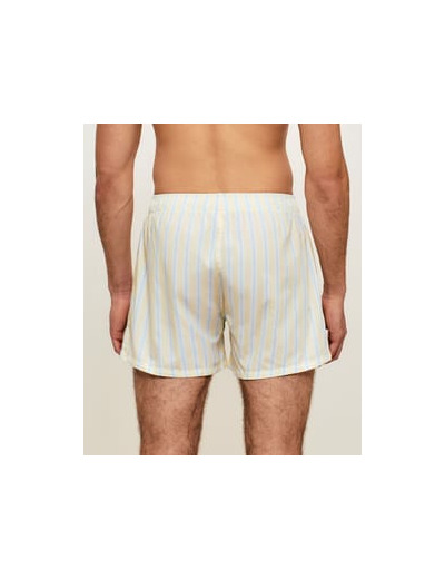 Caleçon en coton à rayures