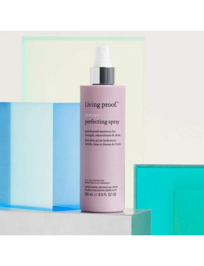 Brume hydratante démêlante Restore