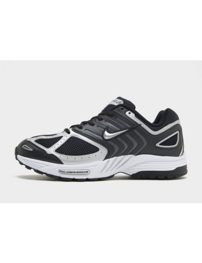 Nike Air Pegasus 2005