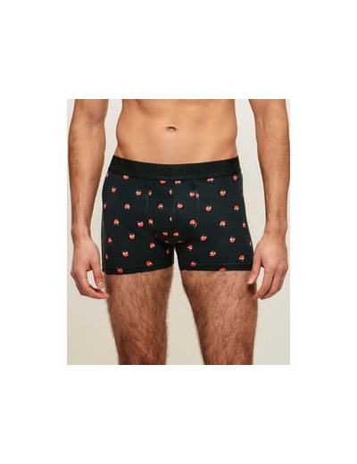 Boxer en coton motifs pommes