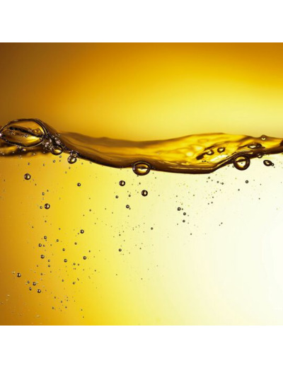 Élixir d'huile d'argan Orofluido 100ml