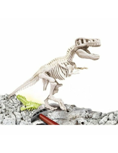 ARCHEO LUDIC TREX PHOSPHORESCENT