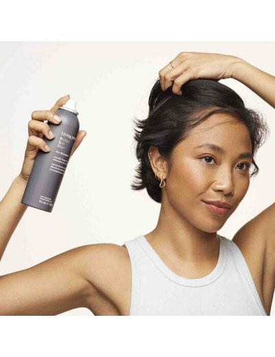 Shampooing sec Perfect Hair Day