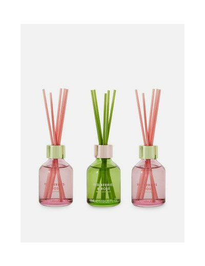 Lot de 3 mini diffuseurs à bâtonnets