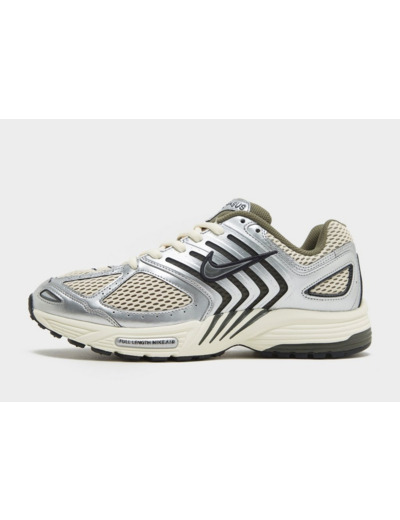 Nike Air Pegasus 2005