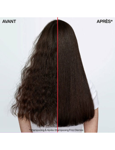 Duo anti-frisottis Frizz Dismiss