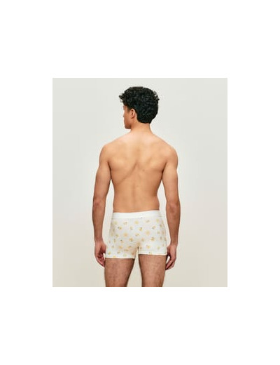 Boxer en coton motifs citrons