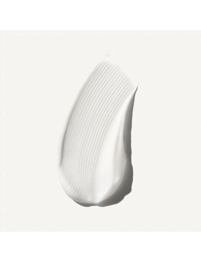 Crème de coiffage n°6