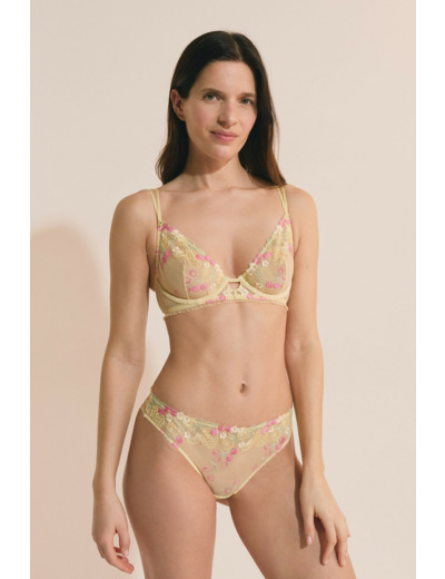 Soutien-gorge classique avec motifs fruits brodés,Soutien-gorge classique avec motifs fruits brodés;${refinementColor}