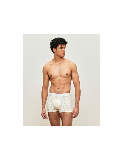 Boxer en coton motifs citrons
