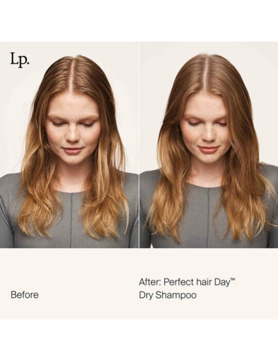 Shampooing sec Perfect Hair Day