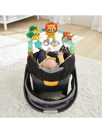 ARCHE D'EVEIL MUSICALE DES BABY LOULOUS