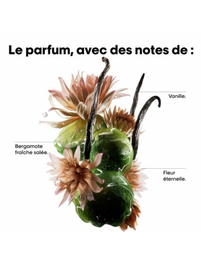 Pré-traitement concentré Absolut Repair Molecular