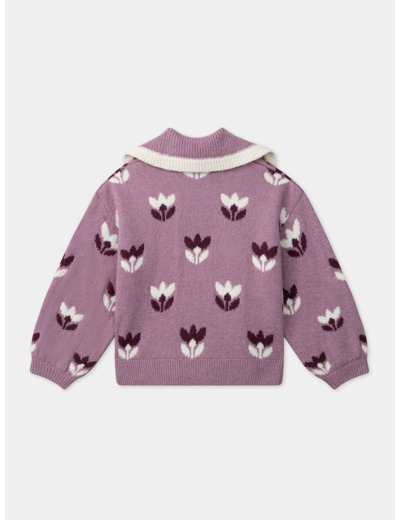 Pull Parme