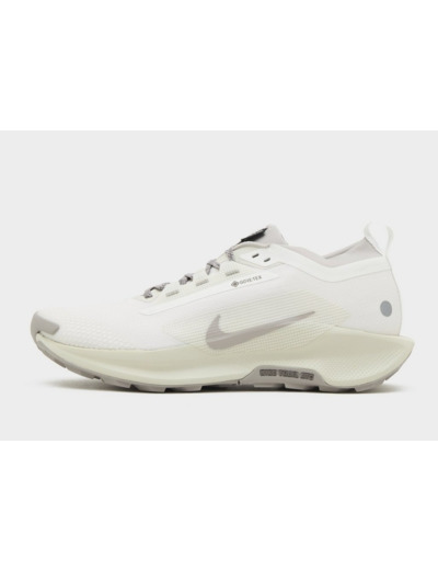 Nike Pegasus Trail 5 GORE-TEX Homme