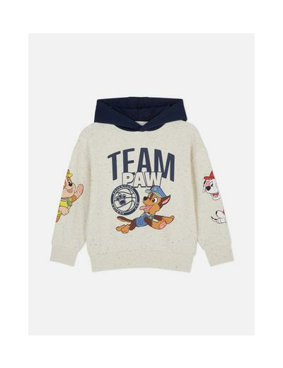 Sweat à capuche graphique PAW Patrol
