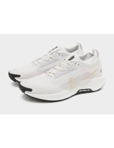 Nike Pegasus Trail 5 GORE-TEX Homme