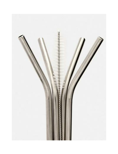 Lot de 4 pailles en acier inoxydable