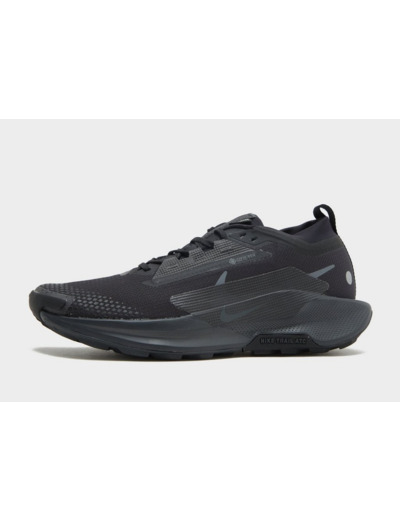 Nike Pegasus Trail 5 GORE-TEX Homme