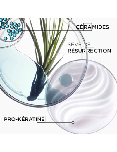 Bain Force Architecte Résistance 500 ml rechargeable