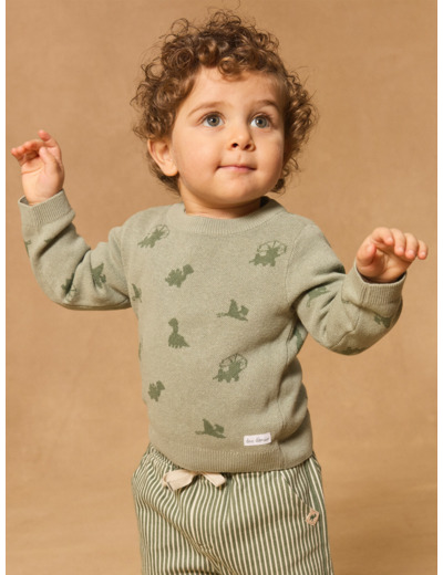 Pull dinosaures