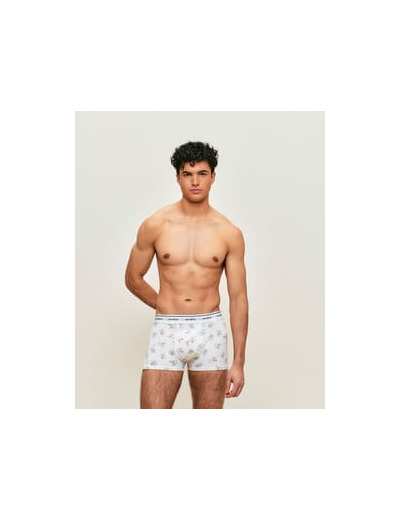 Boxer en coton motifs lapins