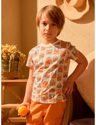 T-shirt Photo du désert