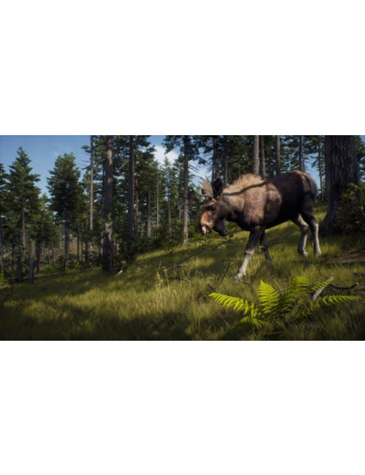 Way Of The Hunter Wild Expeditions