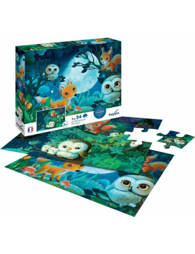 PUZZLE 2X24 PIÈCES AU CLAIR DE LUNE