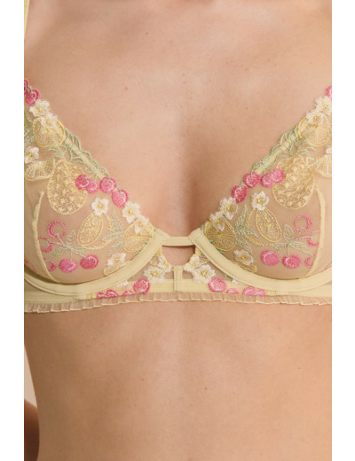 Soutien-gorge classique avec motifs fruits brodés,Soutien-gorge classique avec motifs fruits brodés;${refinementColor}